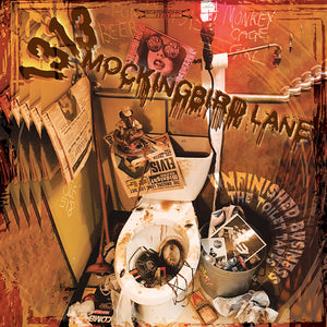Lost Album from Garage Punk Legends 1313 Mockingbird Lane!