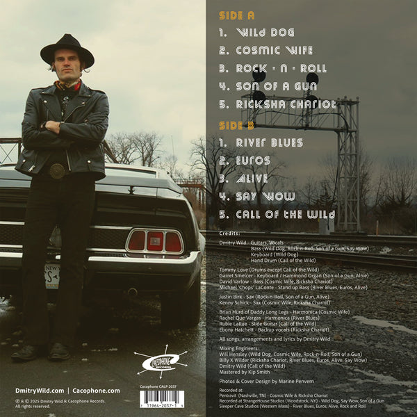 Dmitry Wild - Vintage Tales - Vinyl LP